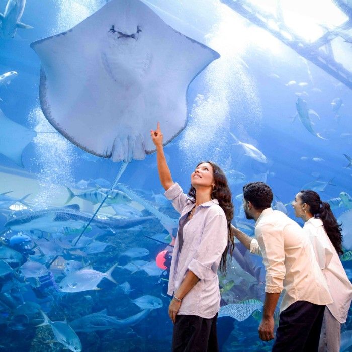 Dubai City Break with Burj Khalifa and Aquarium – 3 Days